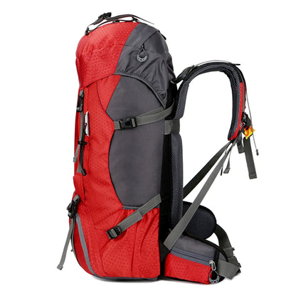 Backpacking Pack TREKKING 60L