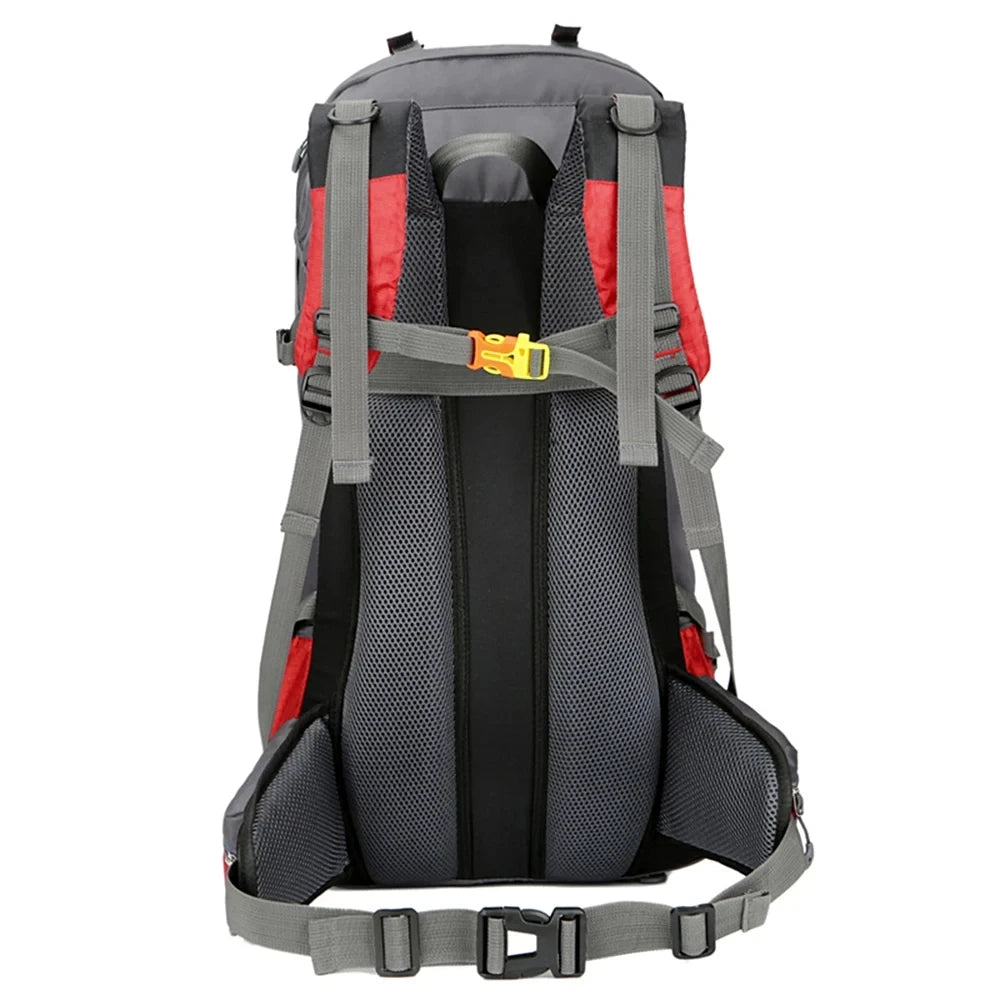 Backpacking Pack TREKKING 60L